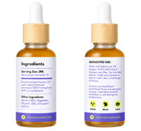 Lion's Mane Tincture