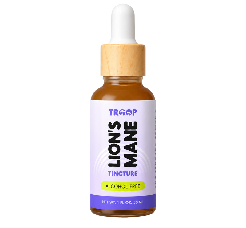 Lion's Mane Tincture